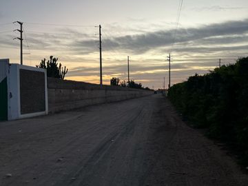 🌿 ¡Invierte En Tierra De Oportunidades! – 2.93 Hectáreas En Chincha Baja 🌿