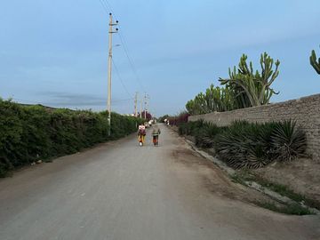🌿 ¡Invierte En Tierra De Oportunidades! – 2.93 Hectáreas En Chincha Baja 🌿