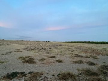 🌿 ¡Invierte En Tierra De Oportunidades! – 2.93 Hectáreas En Chincha Baja 🌿