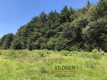 Rancho de Oportunidad con Pozo y Bella Ecología en Villa Del Carbón Edo. Méx., con los servicios necesarios, a solo 7 Min. Del Jardín Central