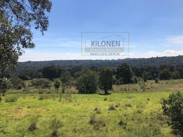 Rancho de Oportunidad con Pozo y Bella Ecología en Villa Del Carbón Edo. Méx., con los servicios necesarios, a solo 7 Min. Del Jardín Central