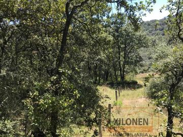Rancho de Oportunidad con Pozo y Bella Ecología en Villa Del Carbón Edo. Méx., con los servicios necesarios, a solo 7 Min. Del Jardín Central
