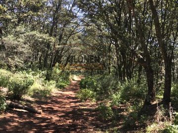 Rancho de Oportunidad con Pozo y Bella Ecología en Villa Del Carbón Edo. Méx., con los servicios necesarios, a solo 7 Min. Del Jardín Central