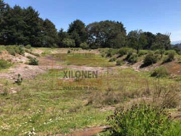 Rancho de Oportunidad con Pozo y Bella Ecología en Villa Del Carbón Edo. Méx., con los servicios necesarios, a solo 7 Min. Del Jardín Central