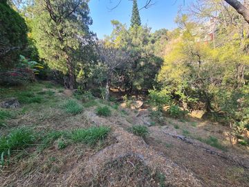 ATENCION!!! REMATO HERMOSA CASA CON 2,900M2 TERRENO, JARDÍN, ALBERCA MUY CERCA DEL CENTRO DE CUERNAVACA SOLO PAGO CON RECURSO PROPIO