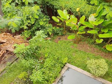 Rumah Dijual di Kota Cilegon Dekat RS. Krakatau Medika, Transmart Cilegon, CitiMall Cilegon