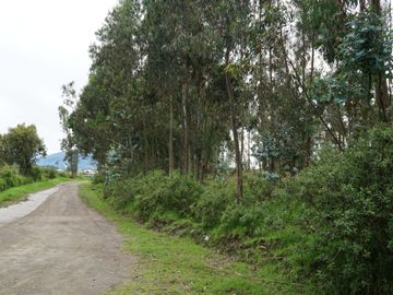 Vendo terreno de 90.000M2 en Cayambe, sector Guachalá, parroquia Cangahua