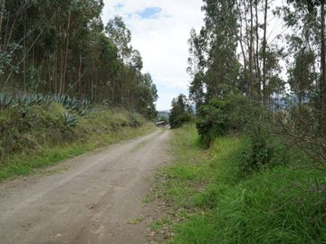 Vendo terreno de 90.000M2 en Cayambe, sector Guachalá, parroquia Cangahua