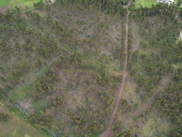 Vendo terreno de 90.000M2 en Cayambe, sector Guachalá, parroquia Cangahua