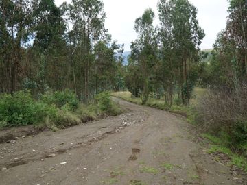 Vendo terreno de 90.000M2 en Cayambe, sector Guachalá, parroquia Cangahua
