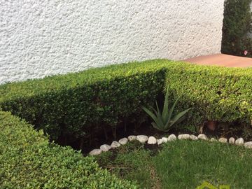 Casa en venta en Jardines de Coyoacan