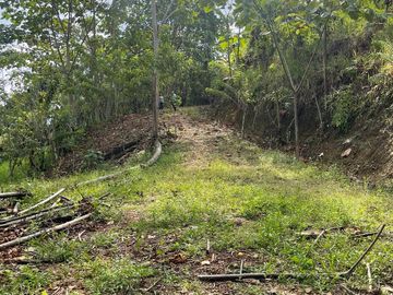 Finca de venta,  (47 Ha,)  en Pedro Vicente Maldonado , Quito , Ecuador