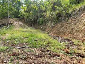 Finca de venta,  (47 Ha,)  en Pedro Vicente Maldonado , Quito , Ecuador