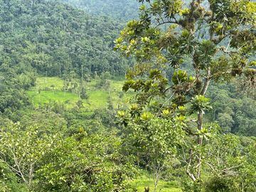 Finca de venta,  (47 Ha,)  en Pedro Vicente Maldonado , Quito , Ecuador