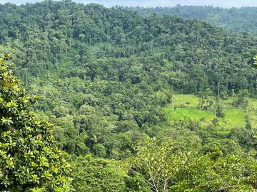 Finca de venta,  (47 Ha,)  en Pedro Vicente Maldonado , Quito , Ecuador