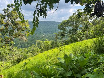 Finca de venta,  (47 Ha,)  en Pedro Vicente Maldonado , Quito , Ecuador
