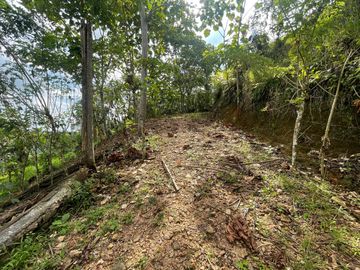 Finca de venta,  (47 Ha,)  en Pedro Vicente Maldonado , Quito , Ecuador