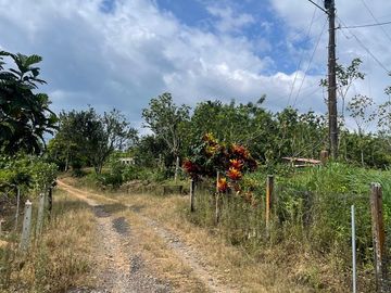 Finca de venta,  (47 Ha,)  en Pedro Vicente Maldonado , Quito , Ecuador