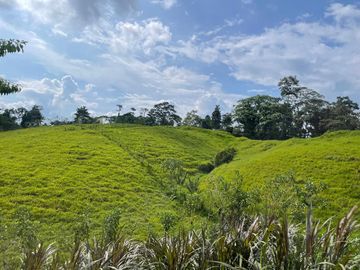Finca de venta,  (47 Ha,)  en Pedro Vicente Maldonado , Quito , Ecuador