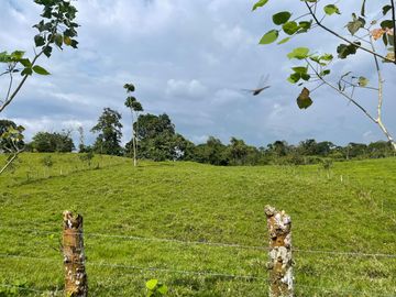Finca de venta,  (47 Ha,)  en Pedro Vicente Maldonado , Quito , Ecuador