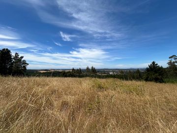 Parcela de 6000m2 con increíble vista en las mariposas
