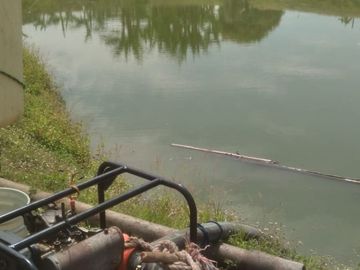 Venta de terreno agricola y ganadero en zona de Pedro Carbo