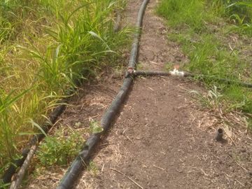 Venta de terreno agricola y ganadero en zona de Pedro Carbo