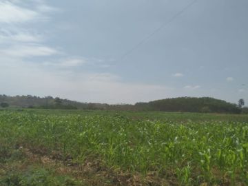 Venta de terreno agricola y ganadero en zona de Pedro Carbo