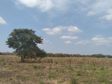 Venta de terreno agricola y ganadero en zona de Pedro Carbo