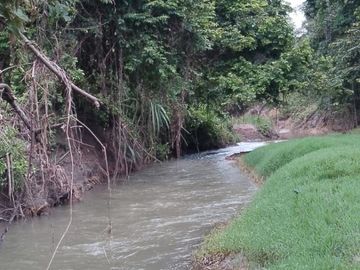 Venta de terreno agricola y ganadero en zona de Pedro Carbo