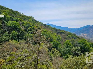 VENTA DE TERRENO CON MANANTIAL EN ZONA BOSCOSA EN CEBADAS, MINERAL DEL CHICO, HIDALGO.
