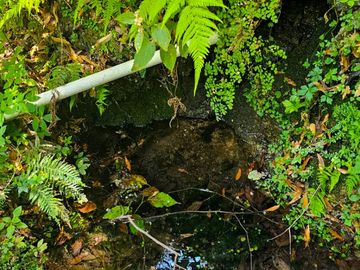 VENTA DE TERRENO CON MANANTIAL EN ZONA BOSCOSA EN CEBADAS, MINERAL DEL CHICO, HIDALGO.