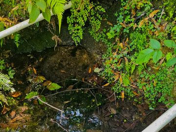 VENTA DE TERRENO CON MANANTIAL EN ZONA BOSCOSA EN CEBADAS, MINERAL DEL CHICO, HIDALGO.