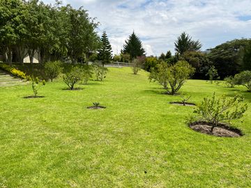 GUAYLLABAMBA CASA QUINTA DE VENTA