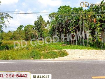 NI-814047 Po Seng land, 3 rai 50 sq w, Yala, near the big market at Sam Yaek Ban Niang