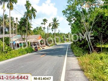 NI-814047 Po Seng land, 3 rai 50 sq w, Yala, near the big market at Sam Yaek Ban Niang