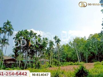 NI-814047 Po Seng land, 3 rai 50 sq w, Yala, near the big market at Sam Yaek Ban Niang