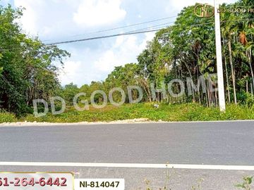 NI-814047 Po Seng land, 3 rai 50 sq w, Yala, near the big market at Sam Yaek Ban Niang