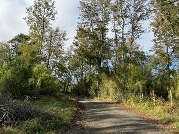 Campo 16 Hectáreas a 15 minutos de Villarrica - Chucauco.