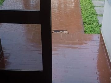 Lindo Dpto.en Condominio en San Borja