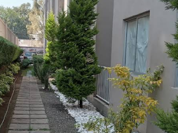 Cda. de las Granjas 125, El Jaguey, Azcapotzalco, 02519 Ciudad de México, CDMX