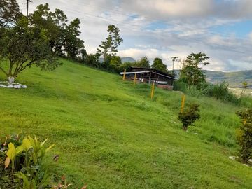 Finca corregimiento de Pavas. 46000 mt2