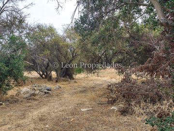 Leon Propiedades vende parcela de 1 ha. en condominio La Aurora, Curacaví.