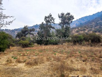 Leon Propiedades vende parcela de 1 ha. en condominio La Aurora, Curacaví.