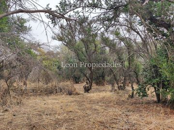 Leon Propiedades vende parcela de 1 ha. en condominio La Aurora, Curacaví.
