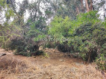 Leon Propiedades vende parcela de 1 ha. en condominio La Aurora, Curacaví.