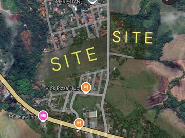 Lot for sale in Victorias City  Negros Occidental