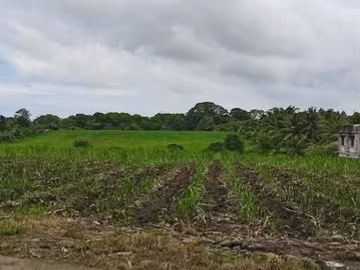 Lot for sale in Victorias City  Negros Occidental