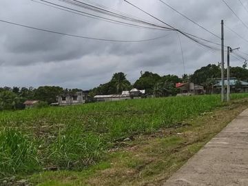 Lot for sale in Victorias City  Negros Occidental