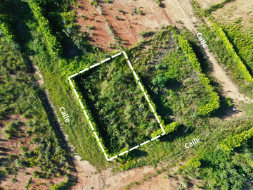 Un terreno de 600 m² cerca de Tarapoto, con agua y luz, te ofrece la posibilidad de crear ese espacio familiar soñado en un entorno único.